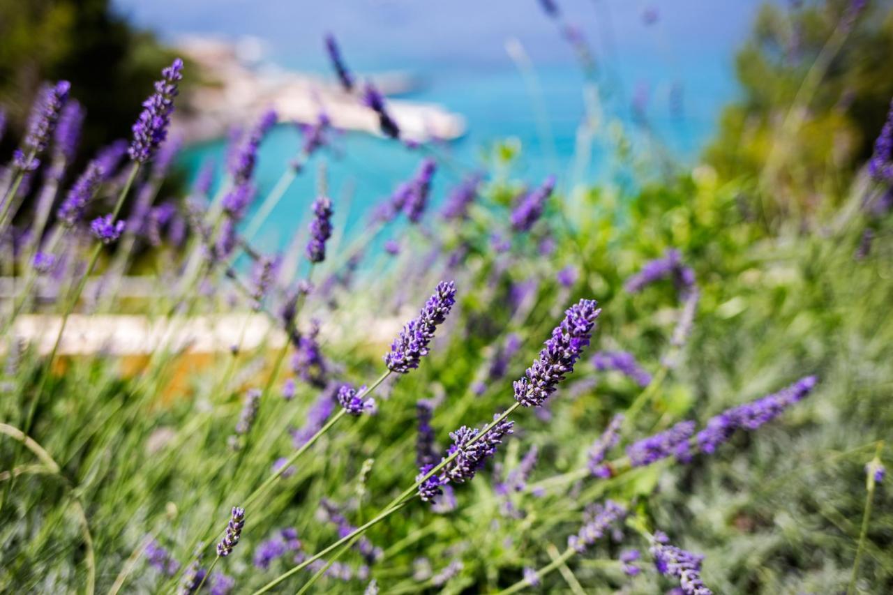 Blue Bay Residence Hvar Town Extérieur photo